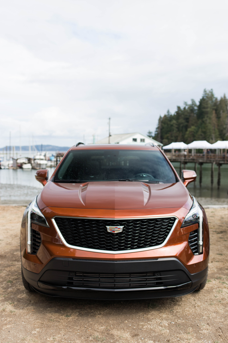Illustration for article titled The 2019 Cadillac XT4 Tries Really Hard to Be a Fun Car